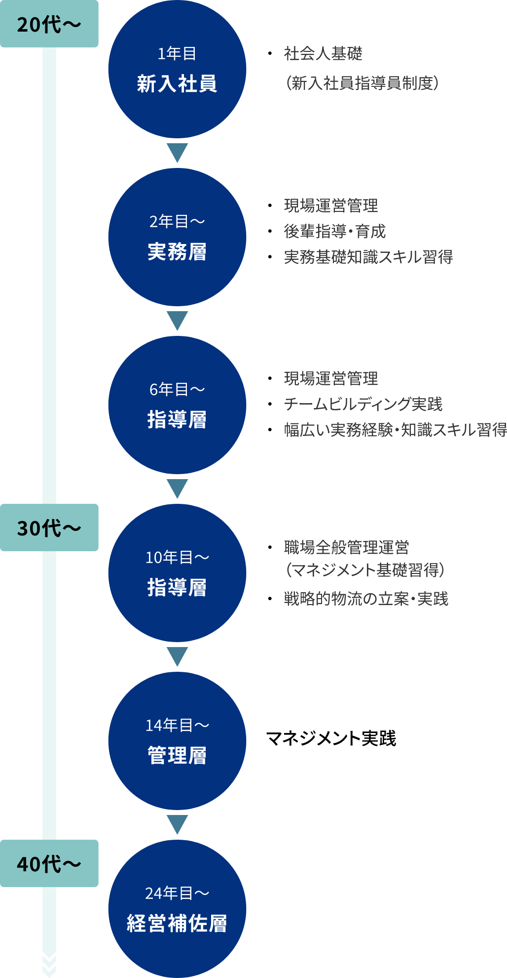 総合職A／総合職BのOJT 図表