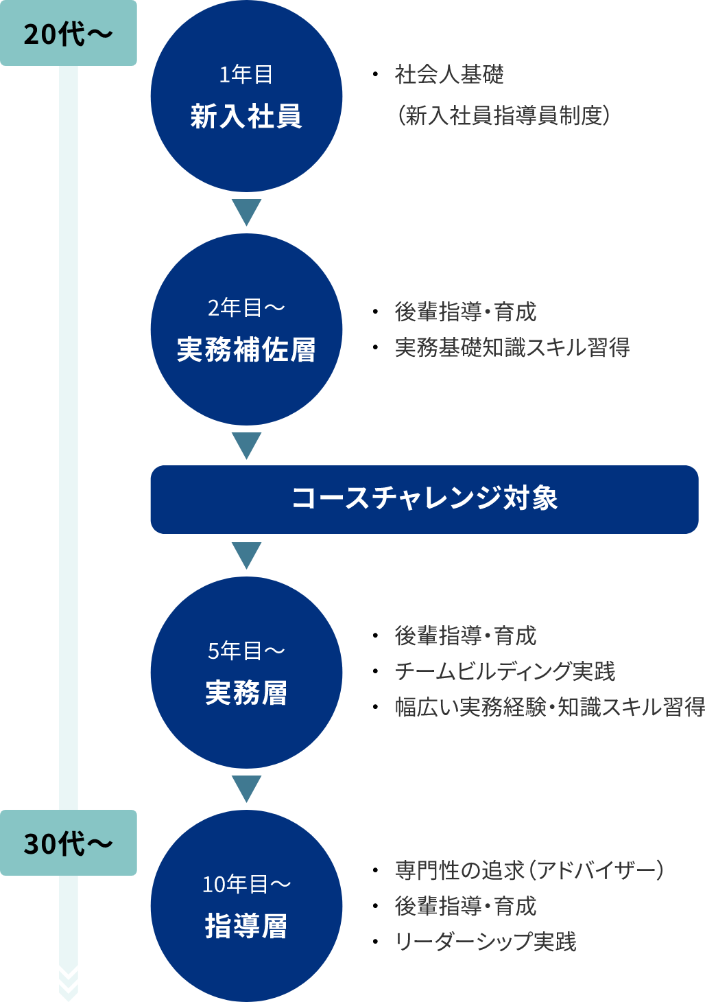 一般職のOJT 図表